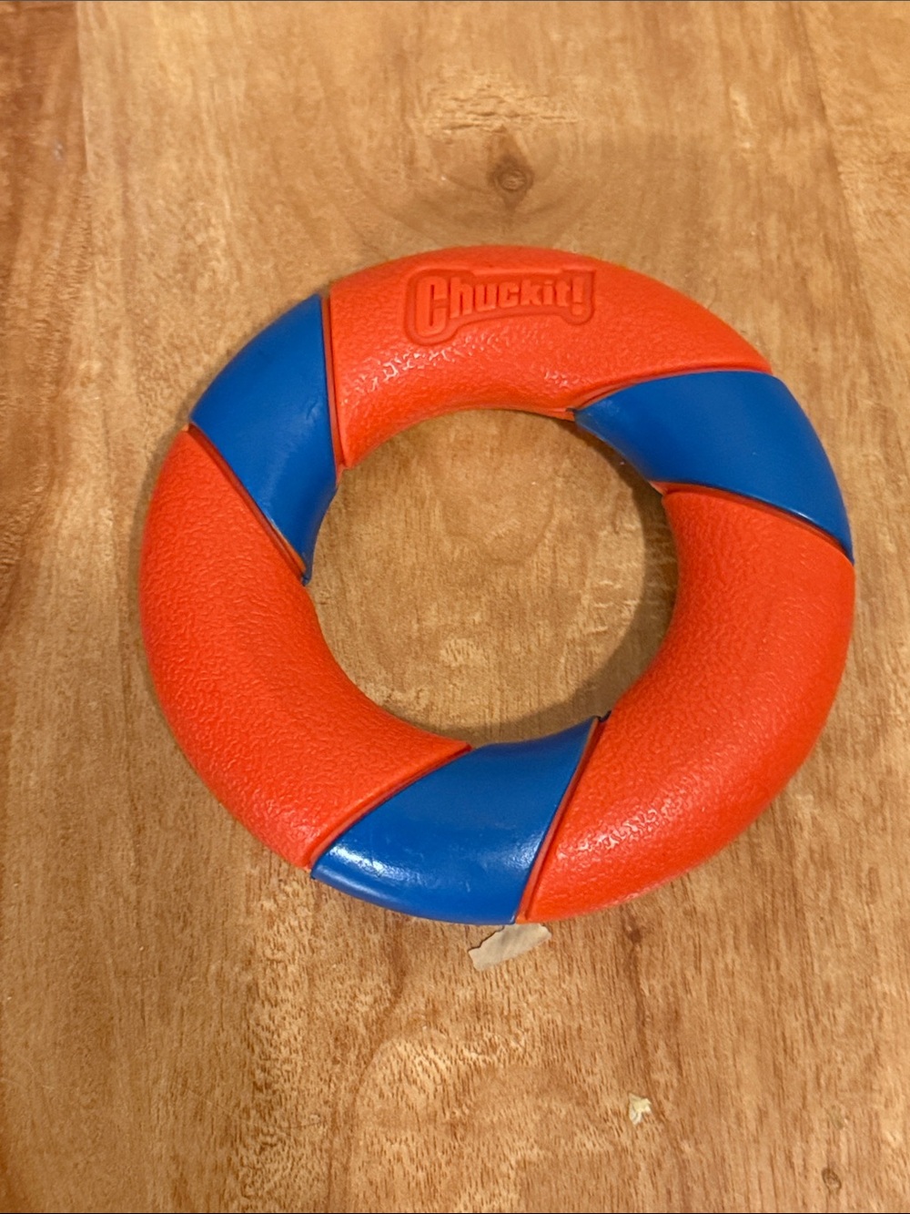 Chuckit! Ultra Ring Chase and Fetch Dog Toy